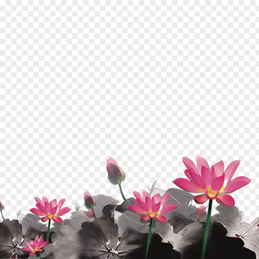 Lotus Ink Wash Painting Download PNG