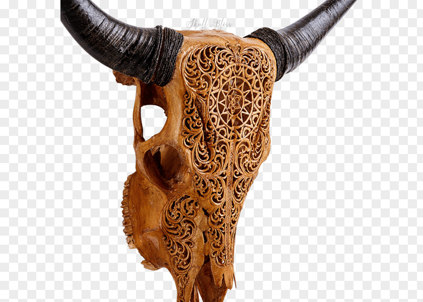 Skull Horn Cattle Carving Antique PNG