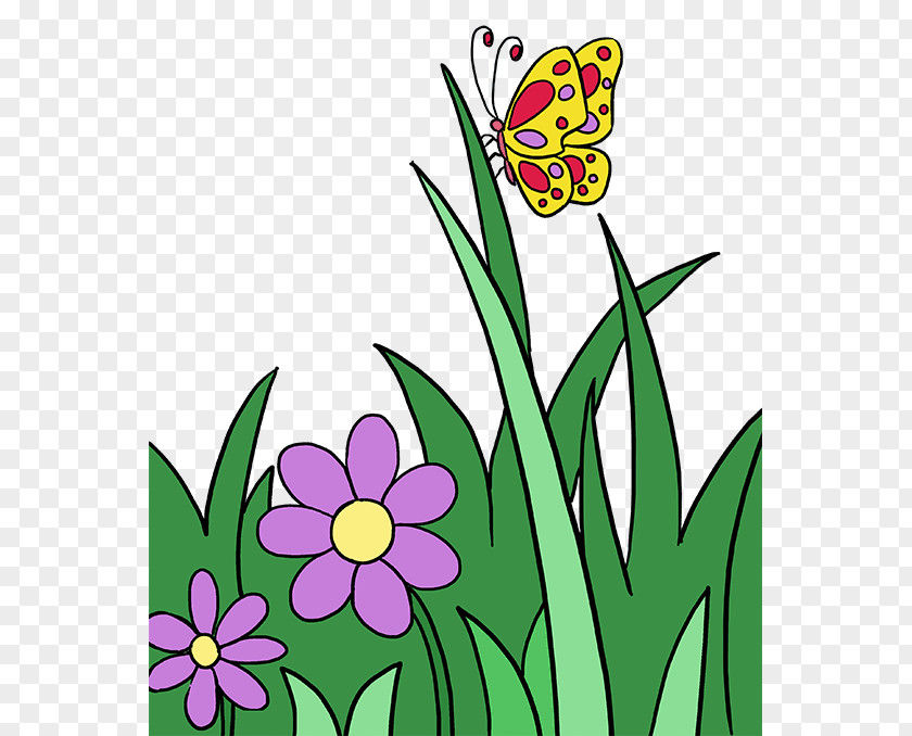 Wildflower Pedicel Flower Plant Petal Grass PNG