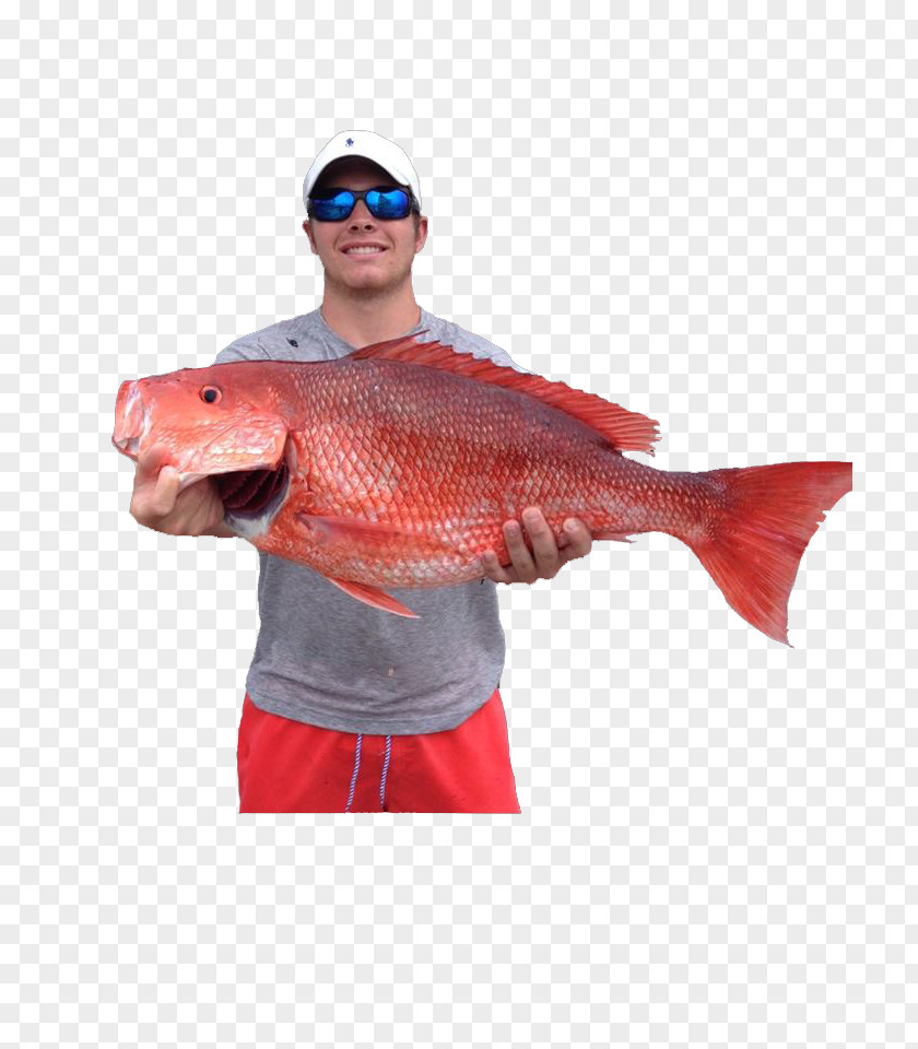 Boat Recreational Fishing Northern Red Snapper Spearfishing PNG