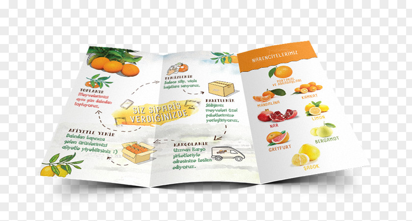 Creative Flyer Design Brand Superfood PNG