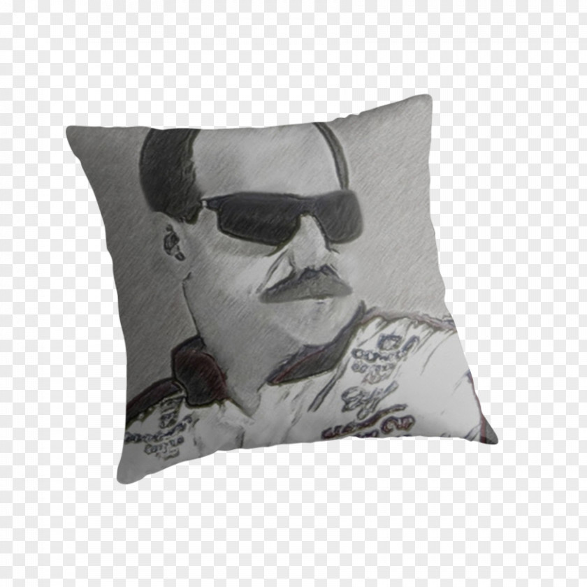 Dale Earnhardt Cushion Throw Pillows PNG