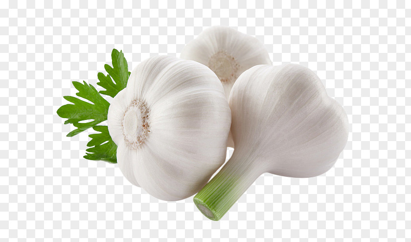 Garlic Food Vegetable Onion PNG