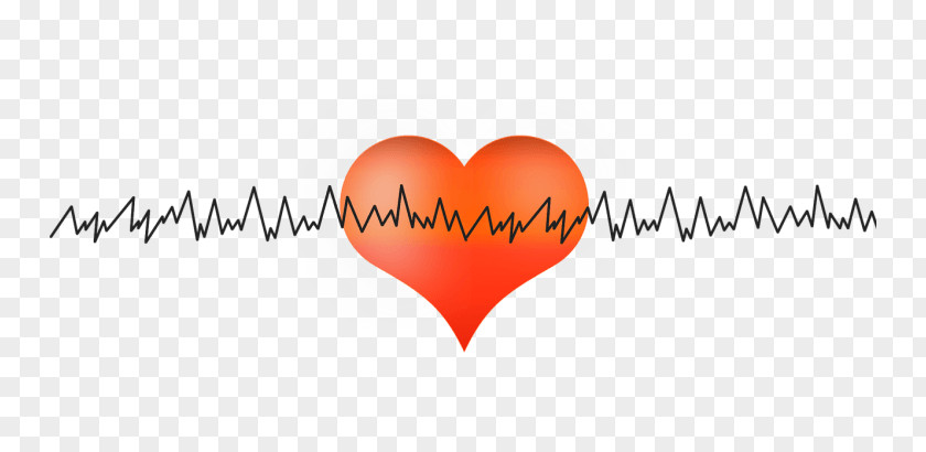 Heart Rate Cardiology Clip Art PNG