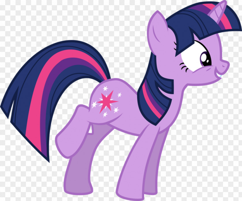 Sparkle Vector My Little Pony Twilight Rainbow Dash The Saga PNG
