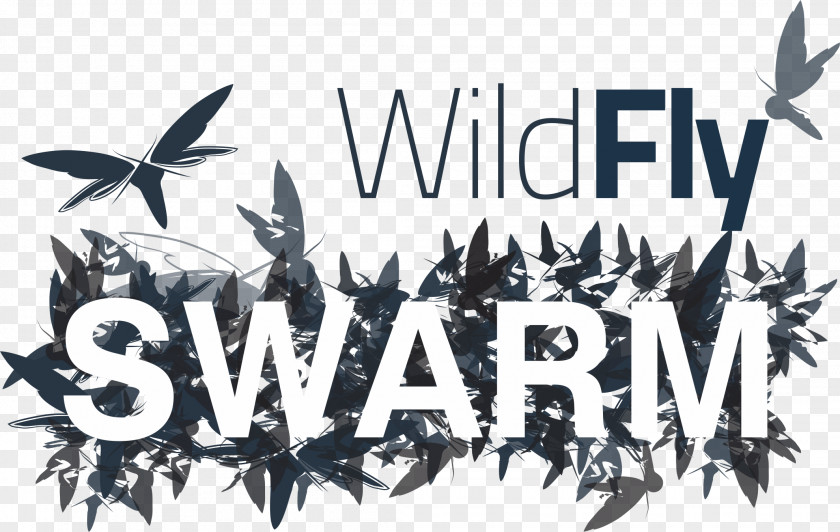 Swarm WildFly Hibernate Java Platform, Enterprise Edition JBoss PNG