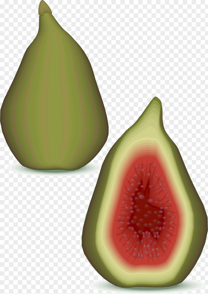 Cactus Common Fig Fruit Food Coconut Cake PNG