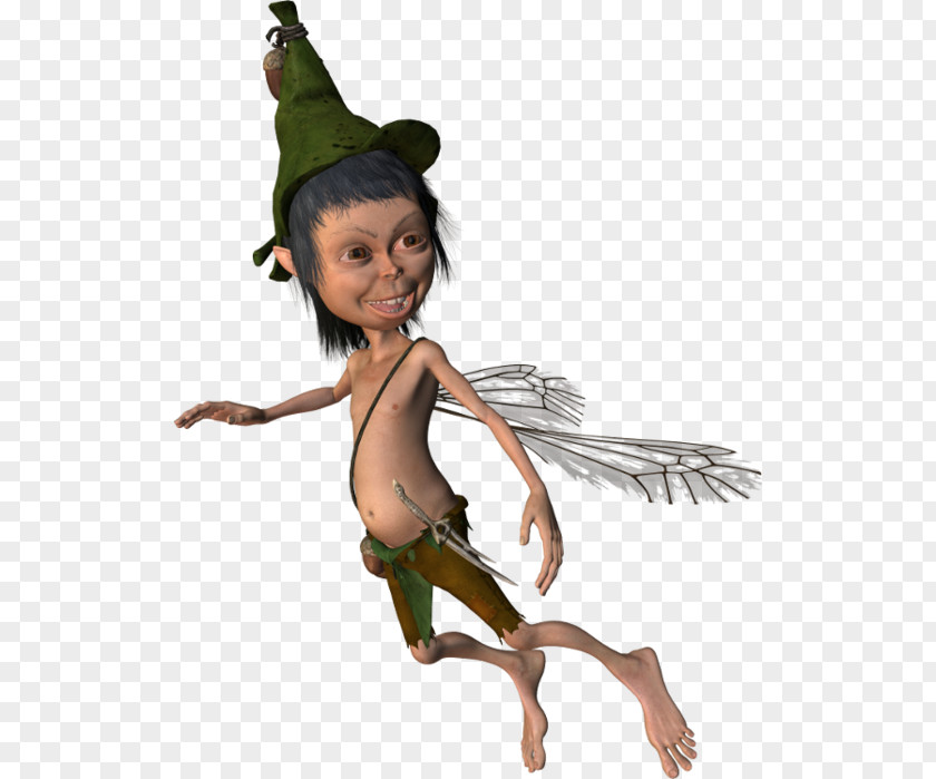 Fairy Costume PNG