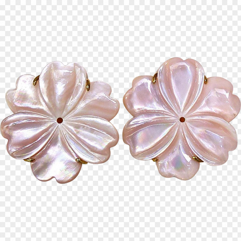 Jewellery Pearl Earring Nacre Pink PNG