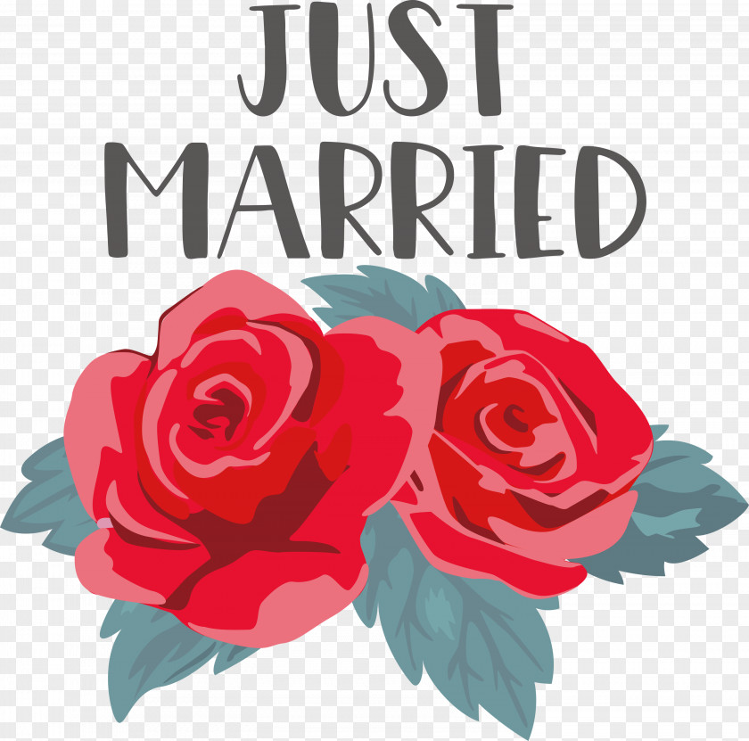 Just Married Wedding PNG