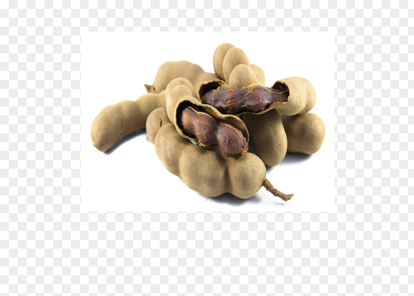 Tamarind Castanospora Fruit Vegetarian Cuisine Seed PNG