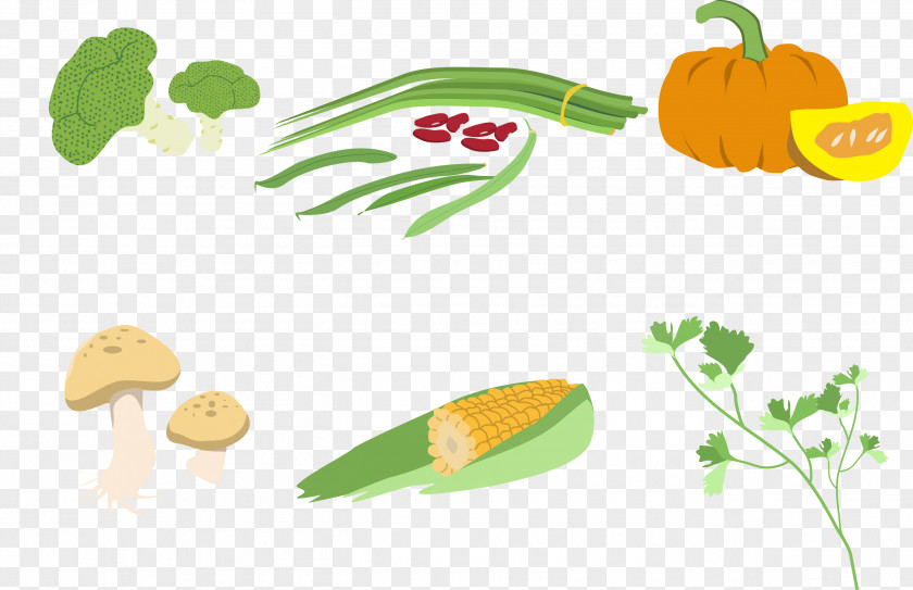 Vector Illustration Vegetables Vegetarian Cuisine Vegetable PNG
