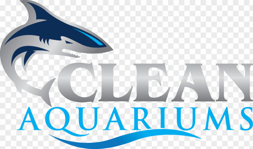 Clean Cv Public Aquarium Rainbowfish Tetra Suckermouth Catfish PNG