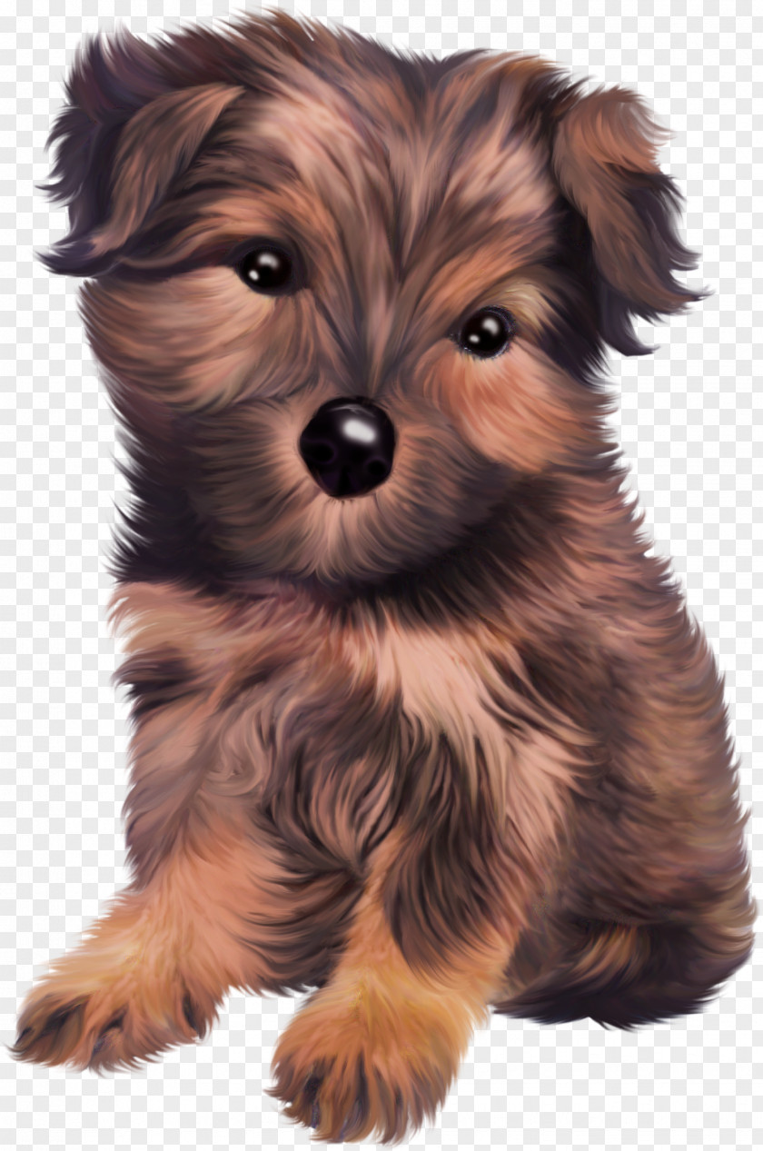 Dog Puppy Yorkshire Terrier Rottweiler Papillon Clip Art PNG
