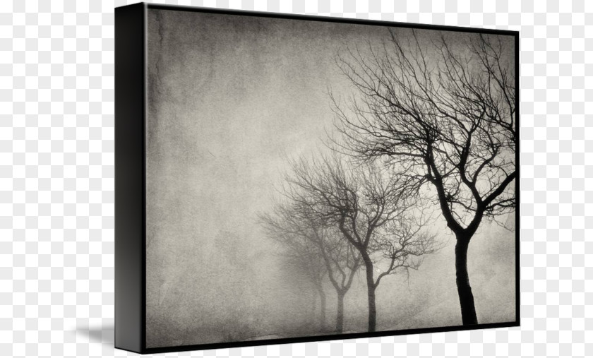 Early Morning Gallery Wrap Photography Canvas Picture Frames Art PNG