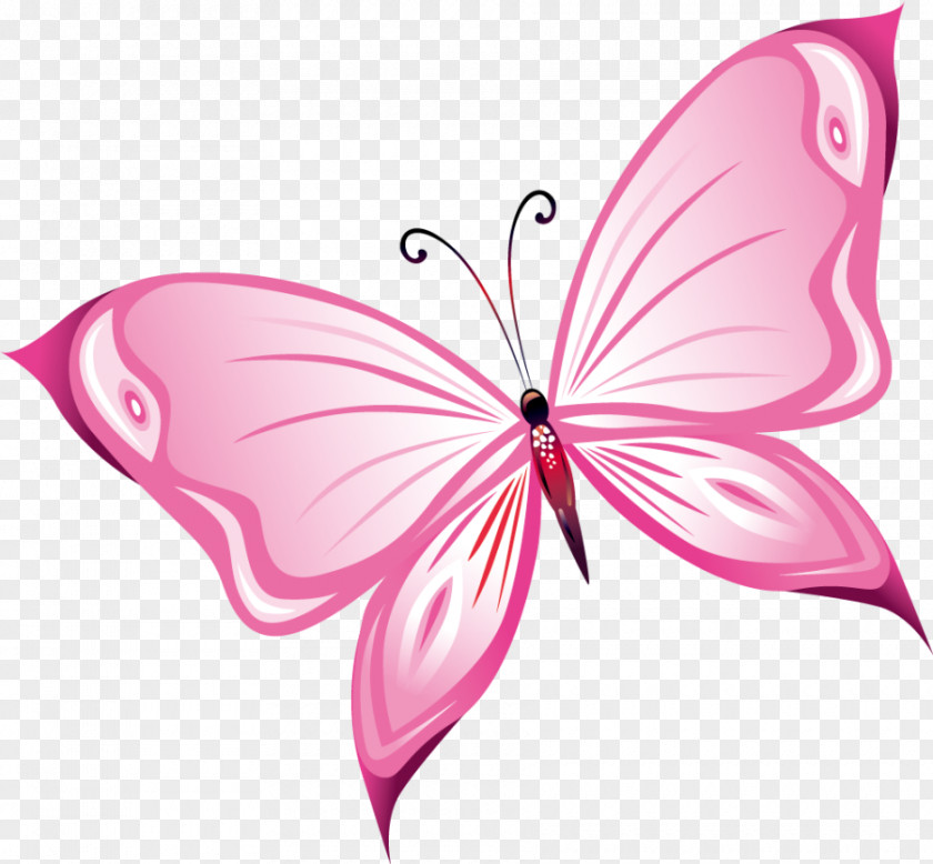Hand Painted Pink Butterfly PNG painted pink butterfly clipart PNG