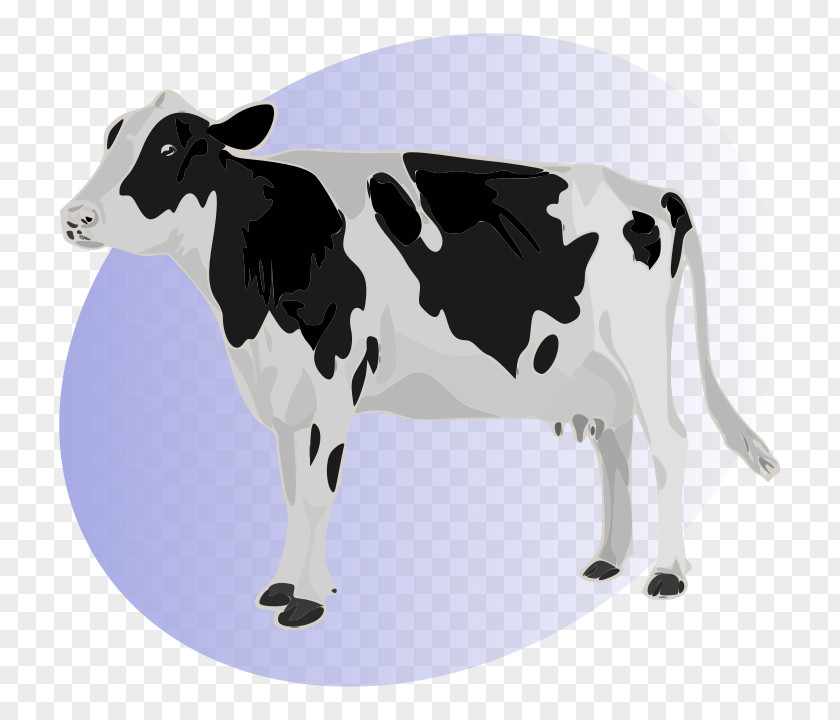 Holstein Cartoon Friesian Cattle Stock Photography Calf Dairy Desktop Wallpaper PNG