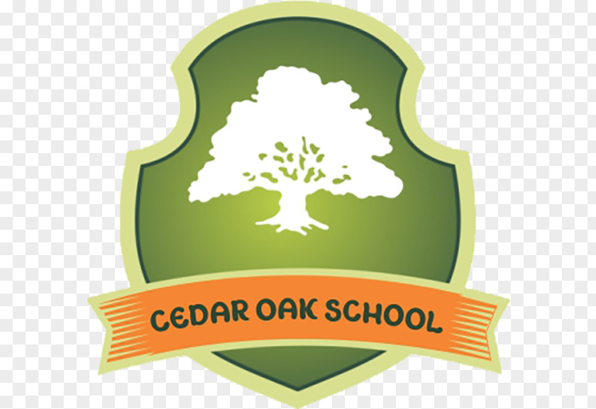 Oak Cedar School Gingins Child Business Learning PNG