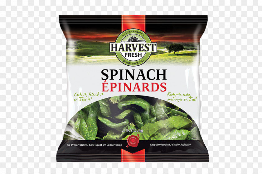 Salad Leaf Vegetable Vegetarian Cuisine Spinach Pasta Recipe PNG