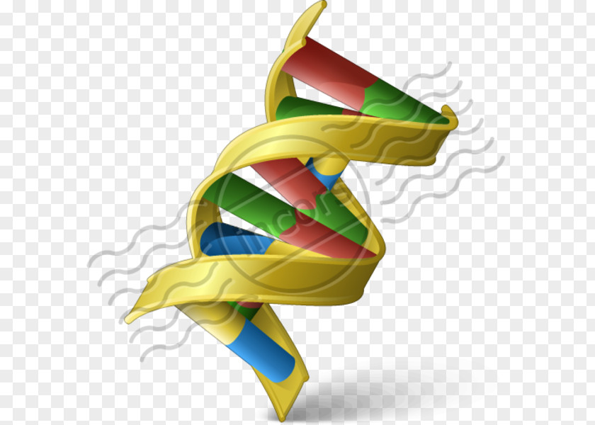 DNA Genetics Clip Art PNG