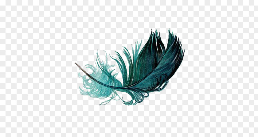 Feather The Floating Bird Watercolor Painting PNG