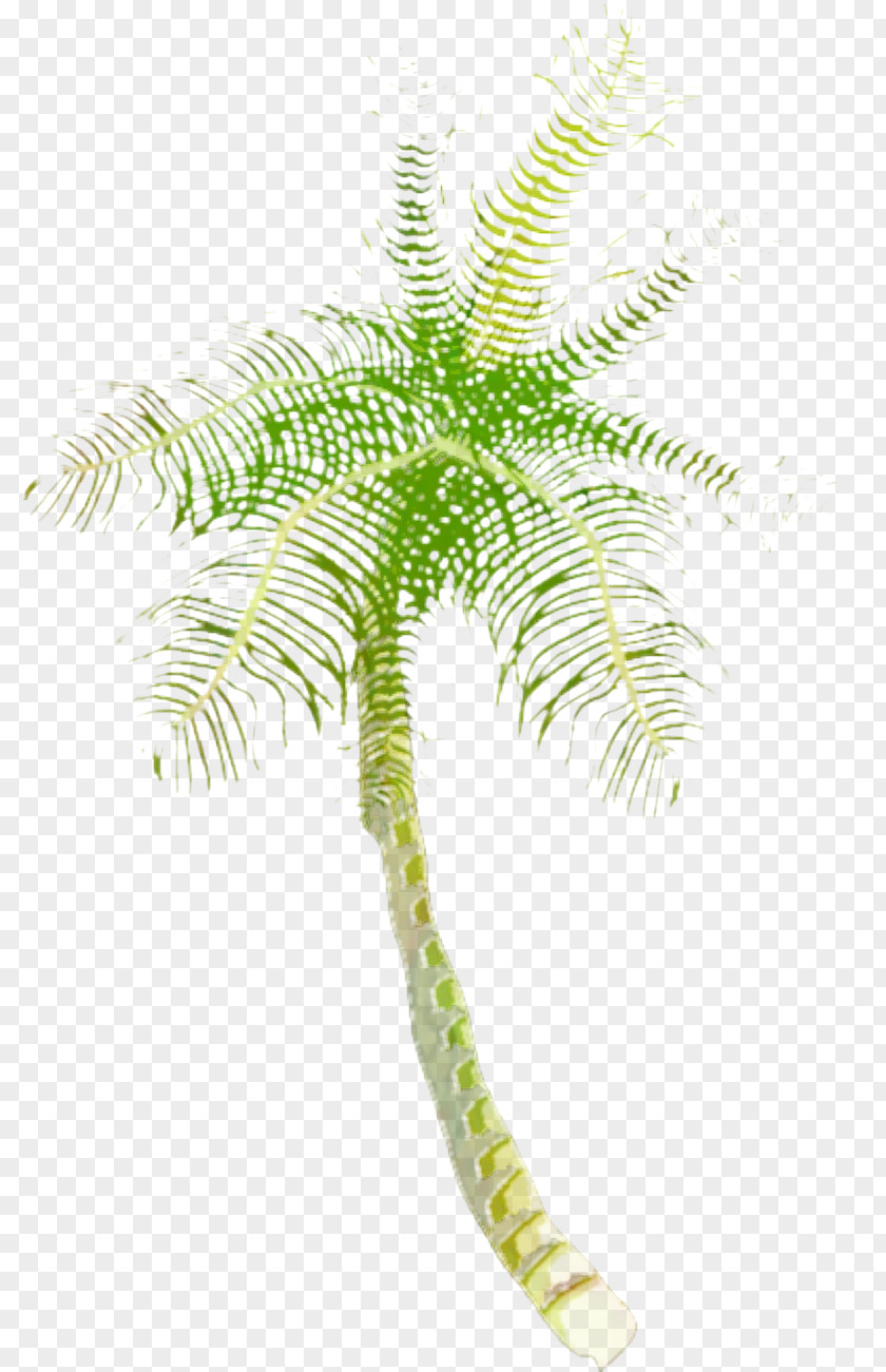 Flower Ferns And Horsetails Coconut Tree Cartoon PNG