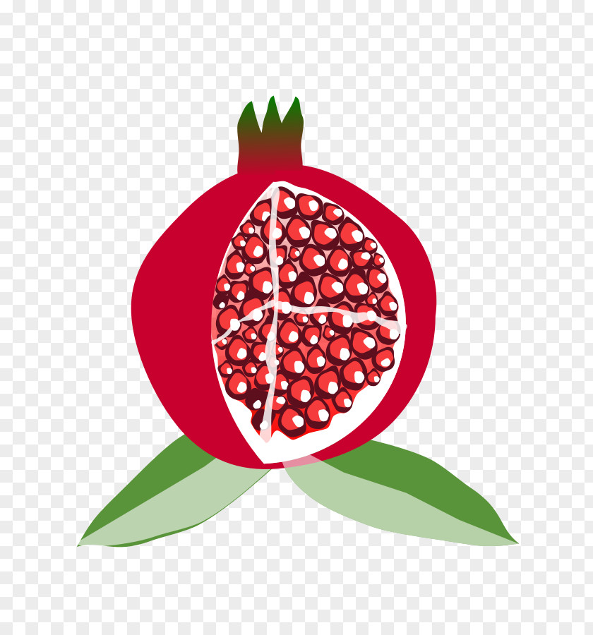 Fruit Vector Pixabay Clip Art PNG