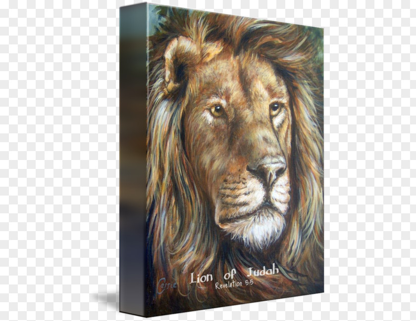 Lion Of Judah Roar Fine Art Painting PNG