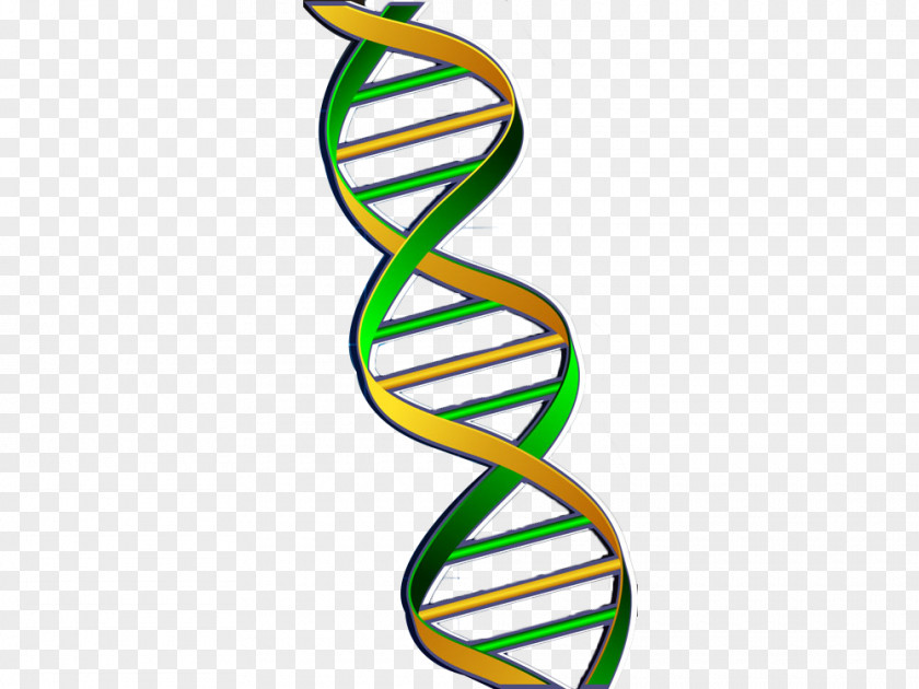 Green Chain Gene DNA Nucleic Acid Double Helix PNG