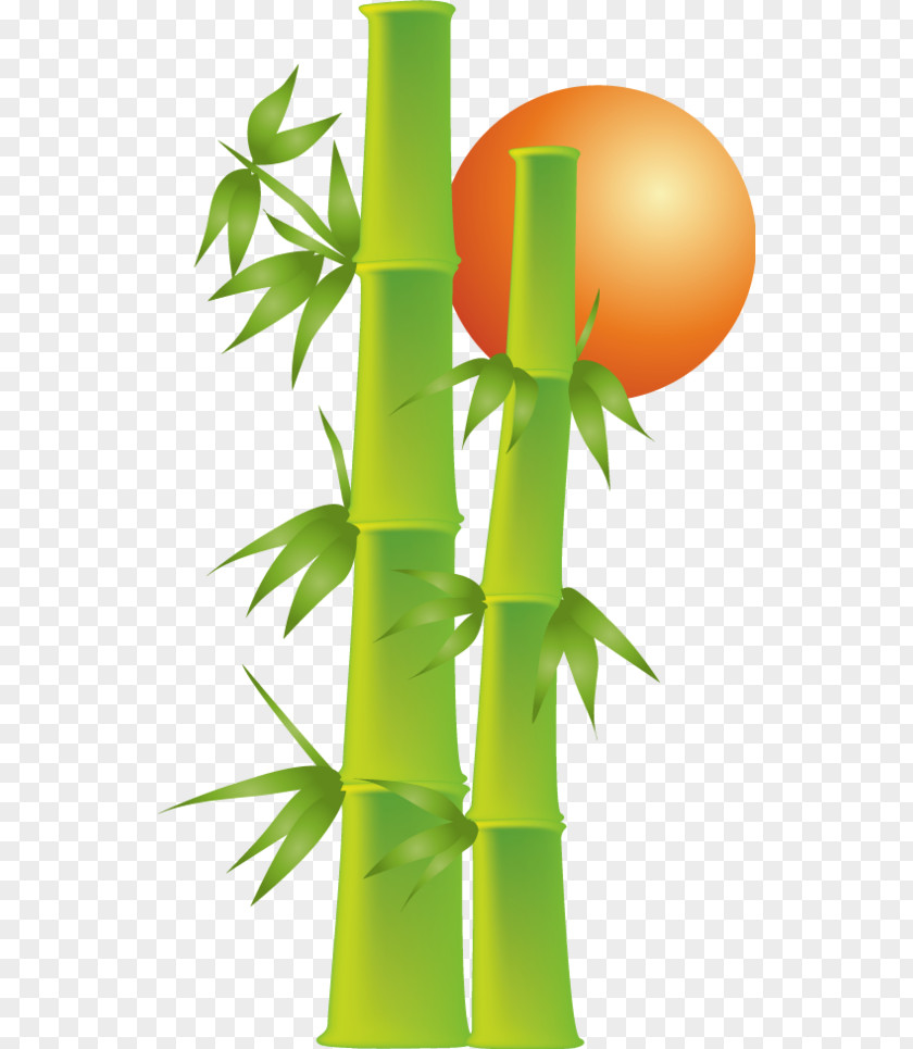 Hand-painted Bamboo Bamboe Drawing Download PNG