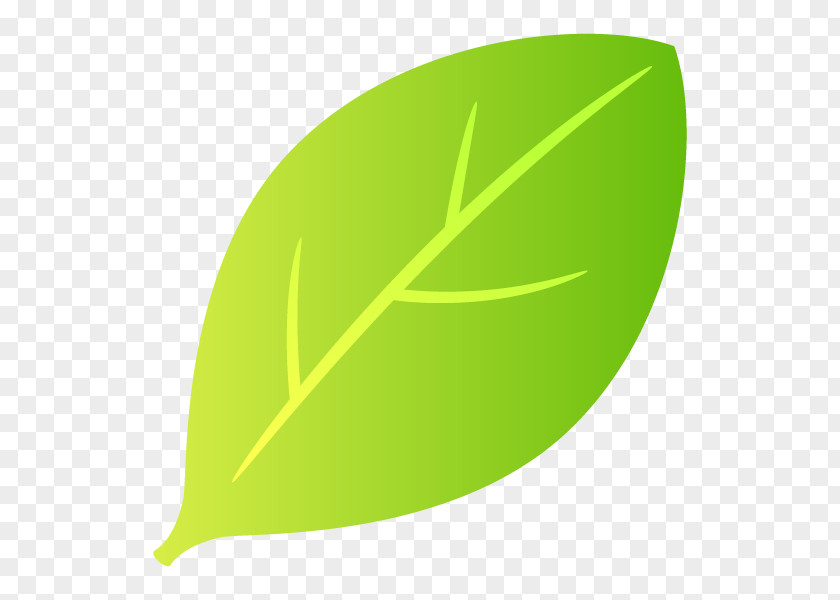 Leaf Illustration File Format PNG