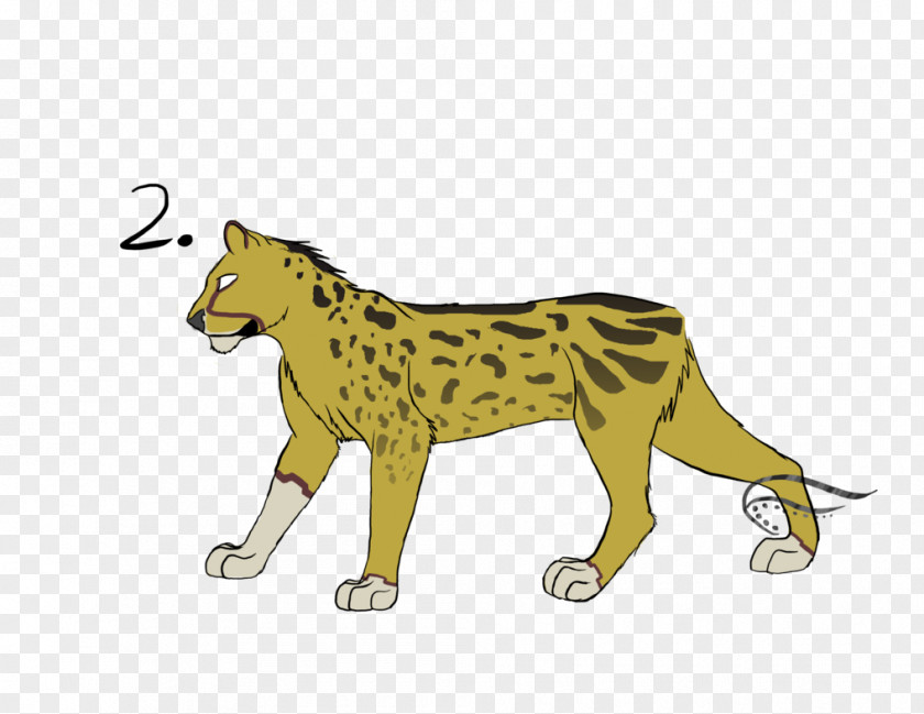 Lion Cheetah Tiger Puma Wildlife PNG