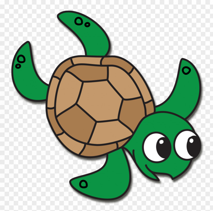 Party Sea Turtle Tortoise Clip Art PNG