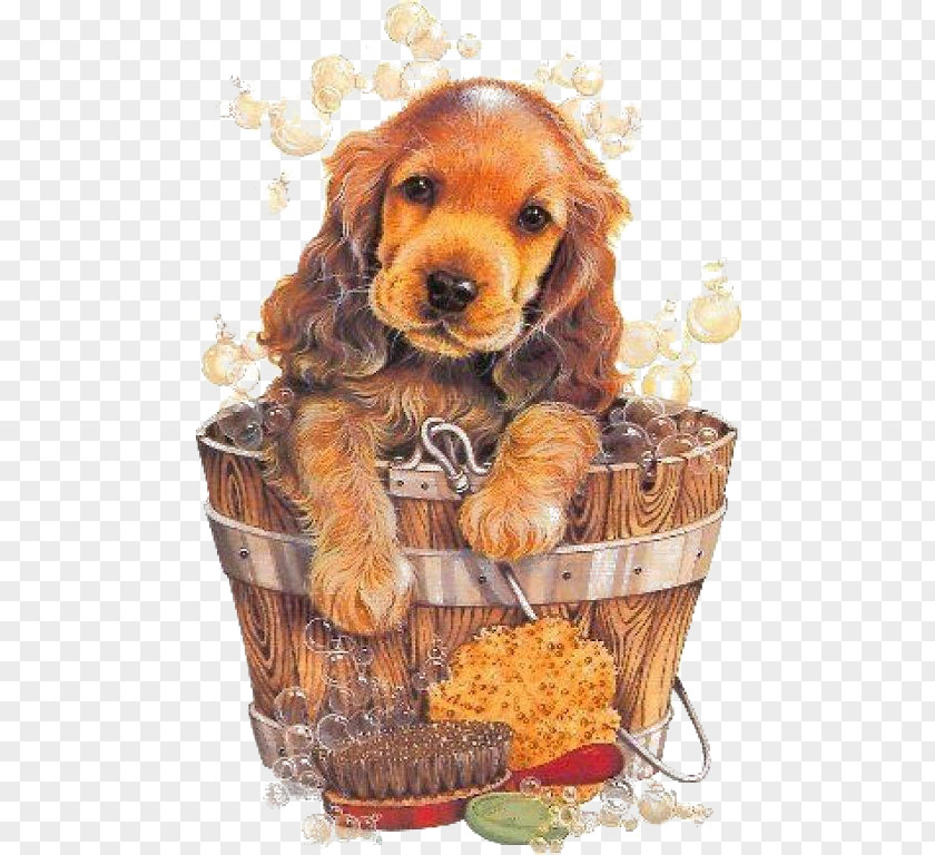 Retro Golden Retriever English Cocker Spaniel Labrador Dog Grooming Clip Art PNG