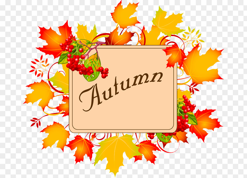 Autumn Leaf Color Vector Graphics Clip Art Image PNG