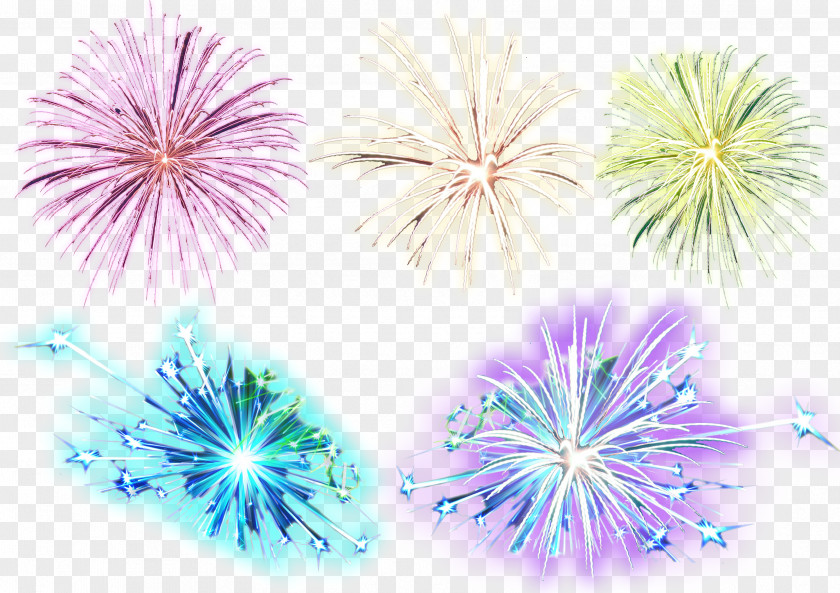 Firework Vector Desktop Wallpaper Fireworks Blue PNG