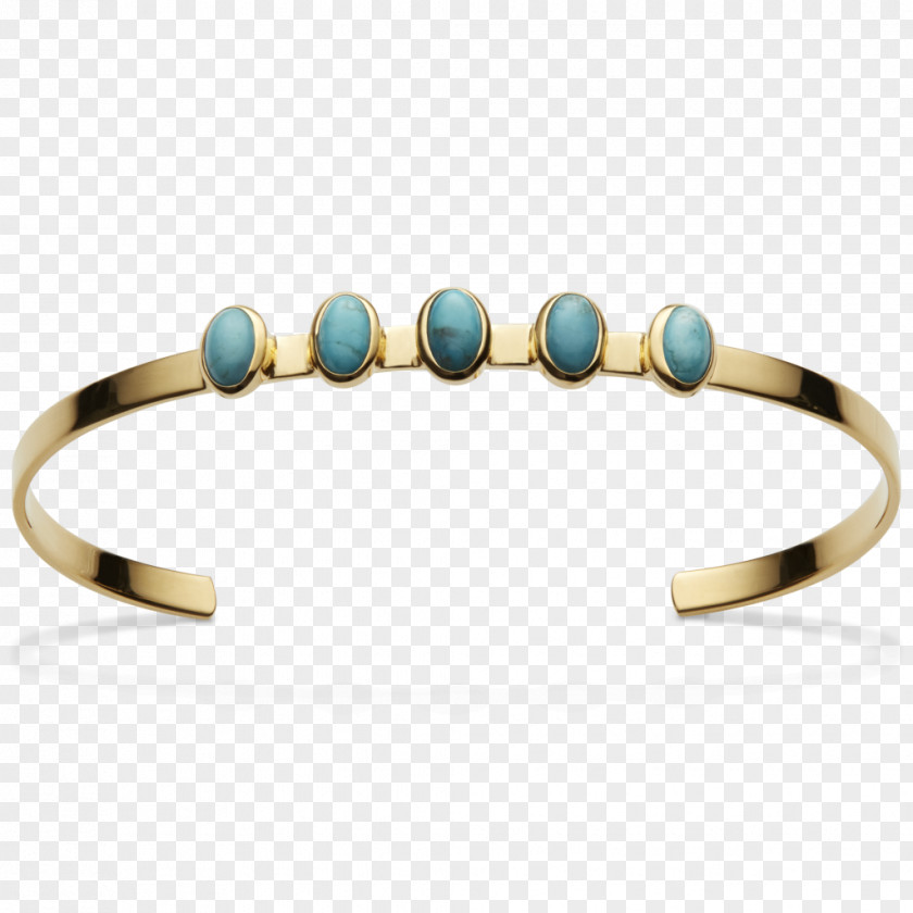 Gull Jewellery Earring Clothing Accessories Bracelet Gemstone PNG
