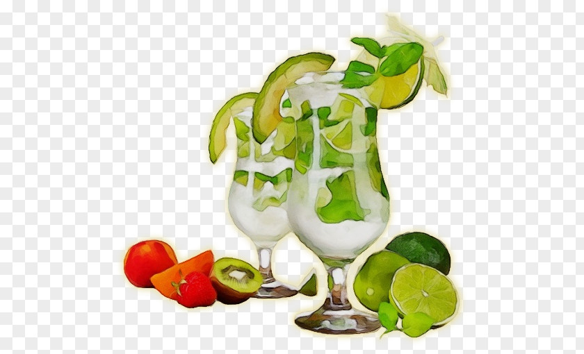 Ingredient Citrus Watercolor Plant PNG