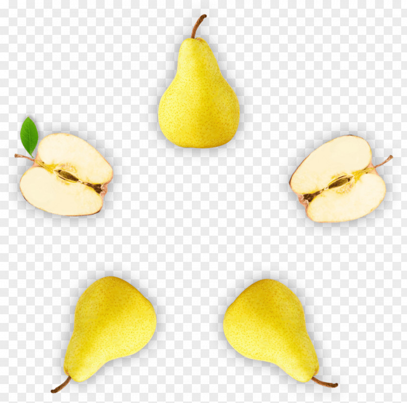 STAR FRUIT Pear PNG