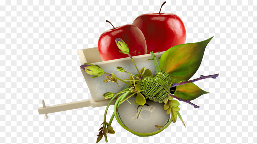Two Apples Apple Auglis PNG