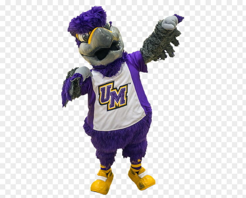University Of Montevallo Mascot Michigan State Miami Freddie Falcon PNG