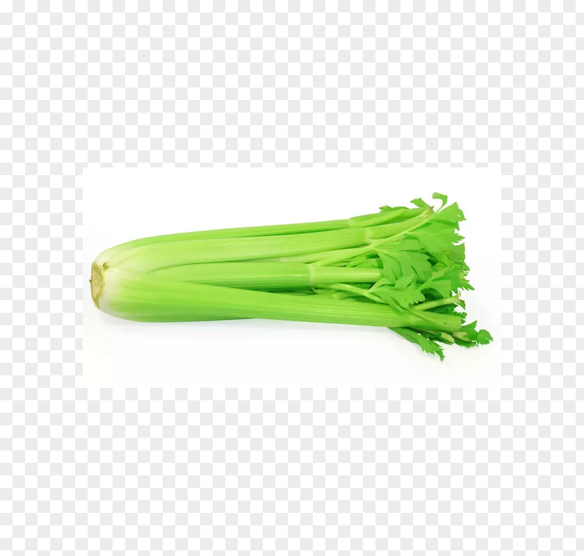 Vegetable Celery Organic Food Chicken Salad PNG
