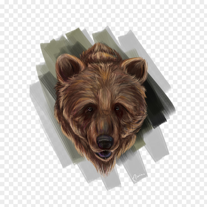 Bear Grizzly Fur Alaska Peninsula Brown Snout PNG