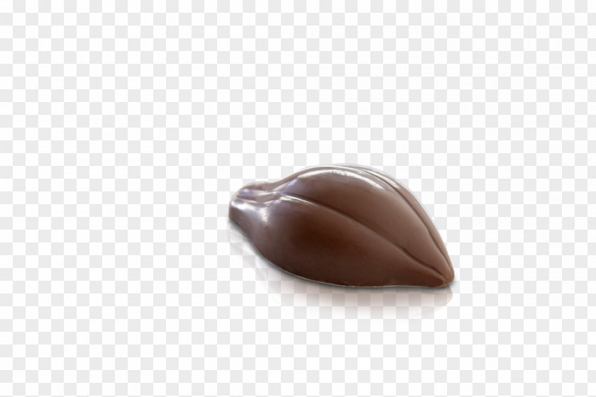 Design Praline PNG