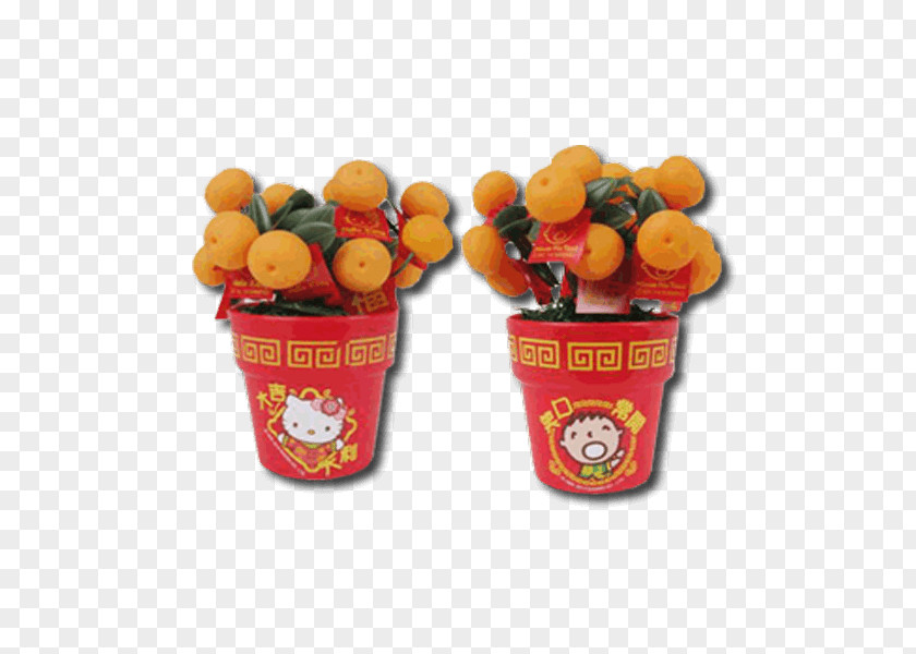Gong Xi Fa Cai Flowerpot Fruit PNG