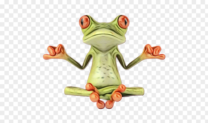 Hyla Toad Green Tree PNG