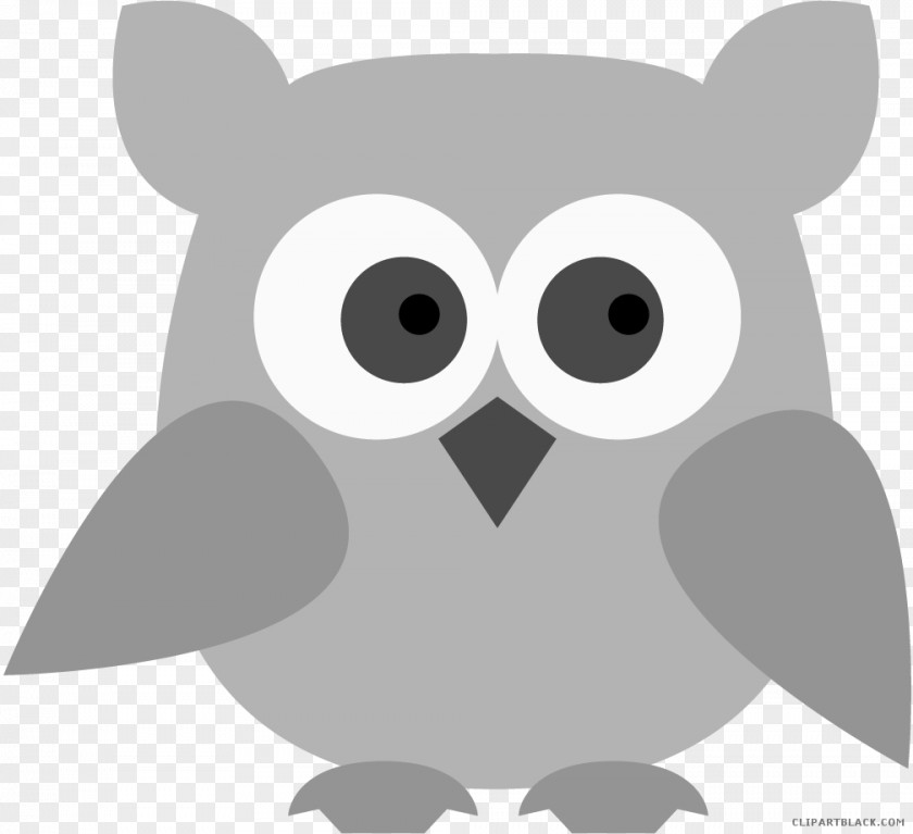 Owl White Clip Art Image Illustration PNG