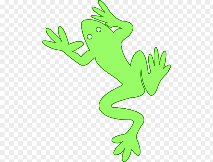 Amphibian Frog Clip Art PNG