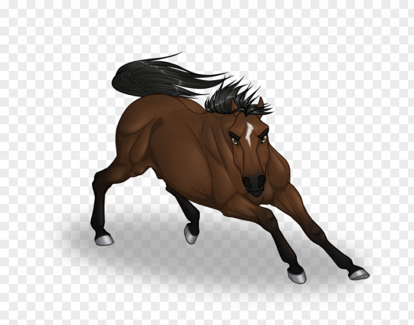 Cowboy Face Mustang Stallion Pony Rein Bridle PNG