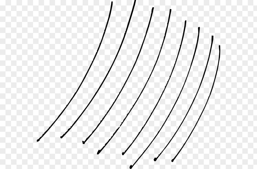 Curved Line Art Curve Point Clip PNG
